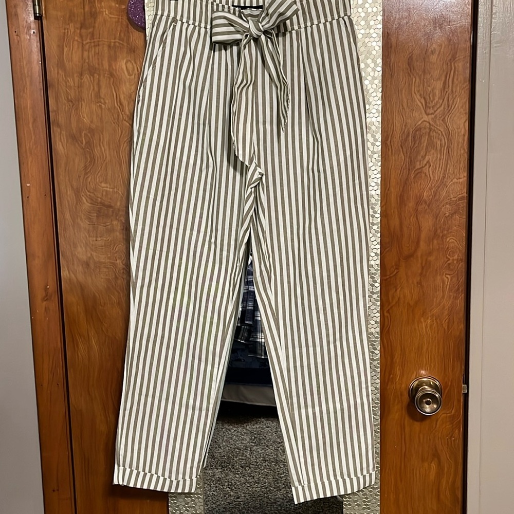 Zara olive and white striped pants.
